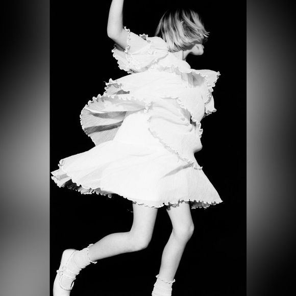 Zara Ruffled Tulle Dress - Picture 2 of 9